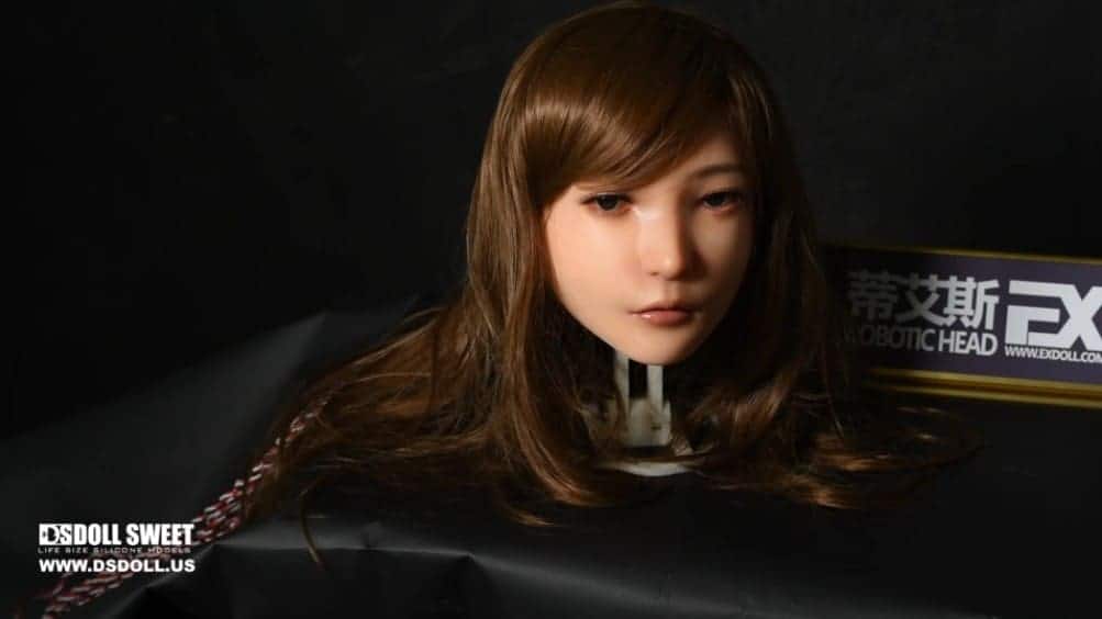 DS Doll Robotics Robotic Head