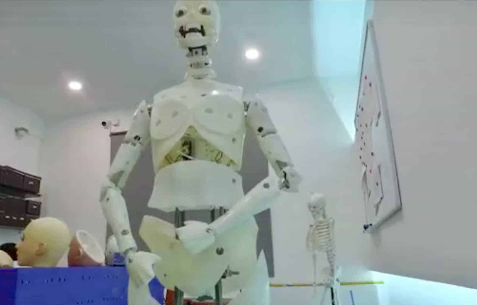 DS Doll Robotics Inside the Lab