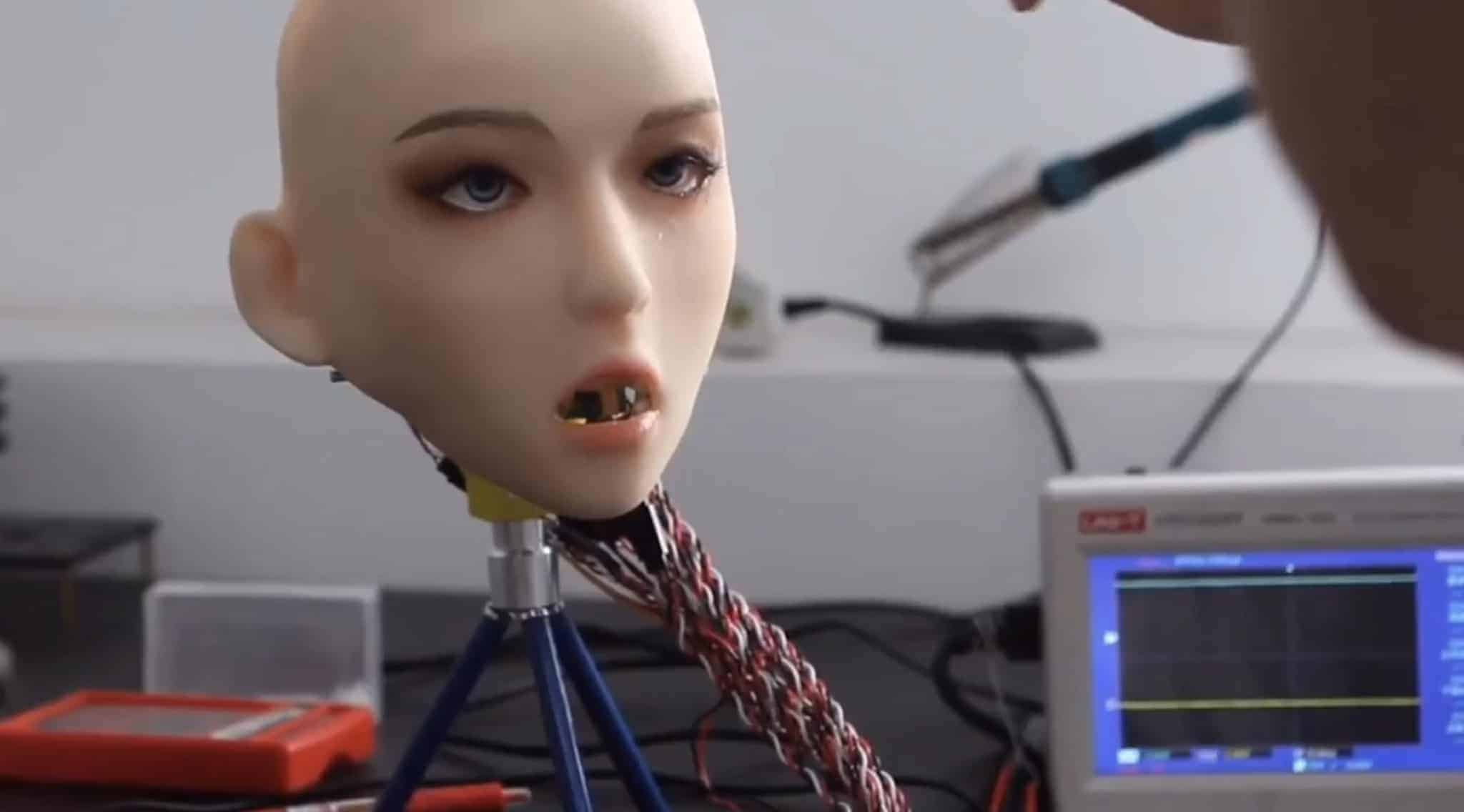 DS Doll Robotics Robotic Head