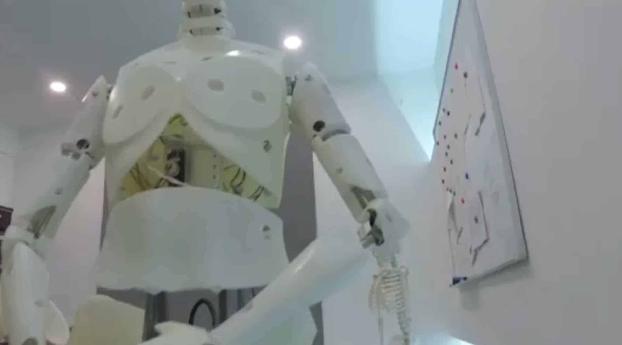 DS Doll Robotics Robotic Skeleton