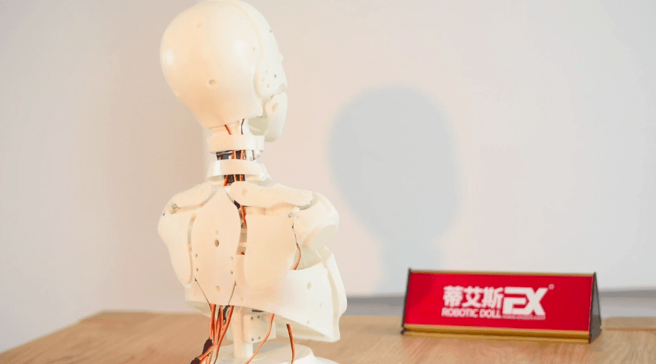 DS Doll Robotics Robotic Skeleton