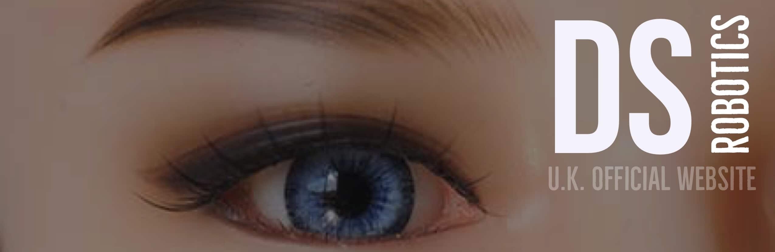 DS Doll Robotics Logo