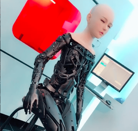 Sex Robot Skeleton Development